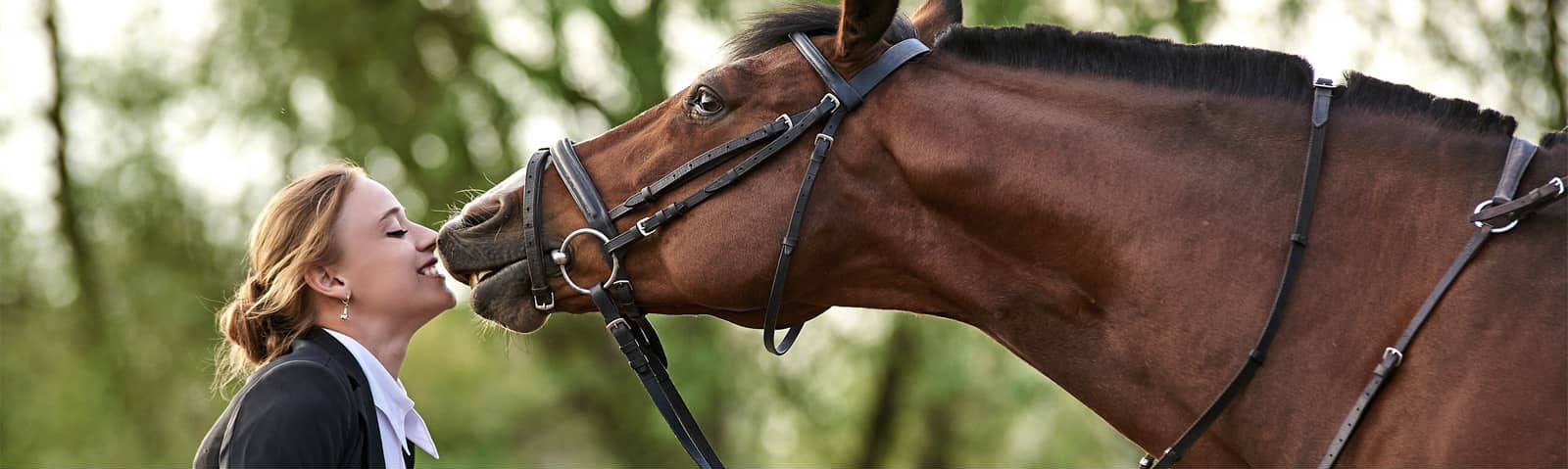 Danmarks bedste ridejakker